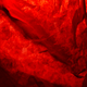 Illustration for article titled 33 Photos Taken In One Amazing Color
